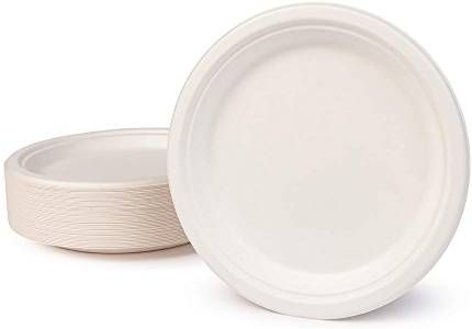 PLATO CAÑA DE AZUCAR 22 CM CAJA 500 UNIDADES 