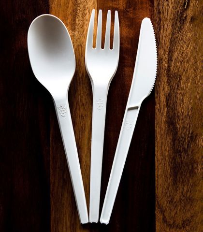 TENEDOR ECOLOGICO CAJA 1000 UNIDADES 